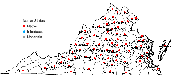 Locations ofSilphium asteriscus L. var. trifoliatum (L.) Clevinger in Virginia