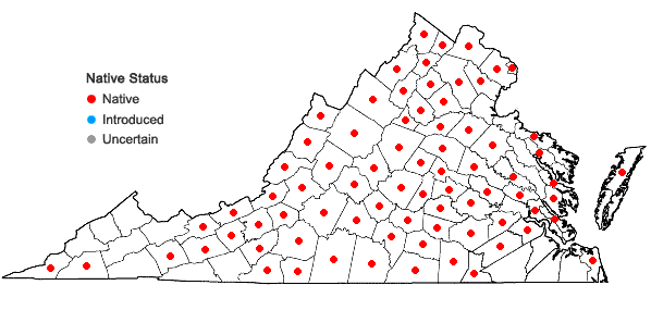 Locations ofSilphium asteriscus L. in Virginia