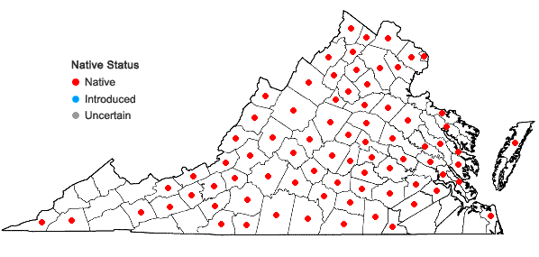 Locations ofSilphium asteriscus L. in Virginia