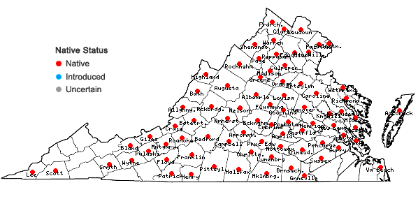 Locations ofSilphium asteriscus L. in Virginia