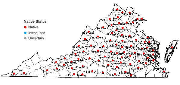 Locations ofSilphium asteriscus L. in Virginia