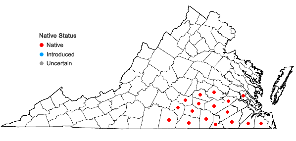 Locations ofSilphium compositum Michx. var. compositum in Virginia