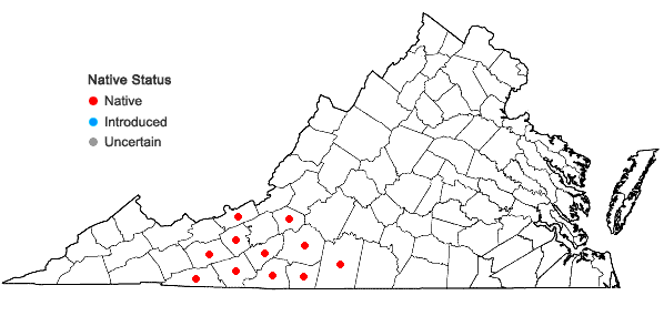 Locations ofSilphium connatum L. in Virginia