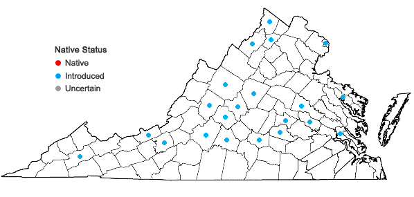 Locations ofSisymbrium altissimum Linnaeus in Virginia