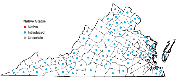 Locations ofSisymbrium officinale (Linnaeus) Scopoli in Virginia