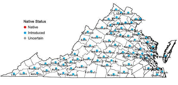 Locations ofSisymbrium officinale (Linnaeus) Scopoli in Virginia