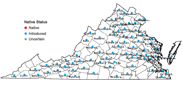 Locations ofSisymbrium officinale (Linnaeus) Scopoli in Virginia