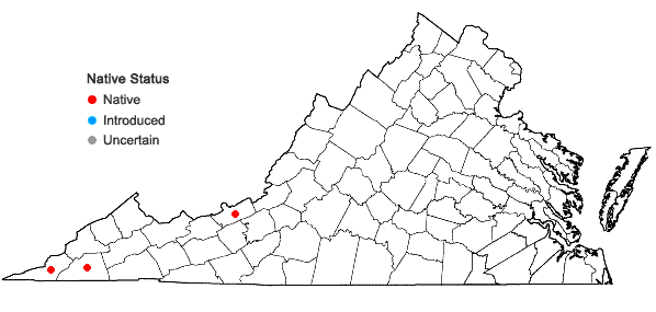 Locations ofSisyrinchium albidum Raf. in Virginia