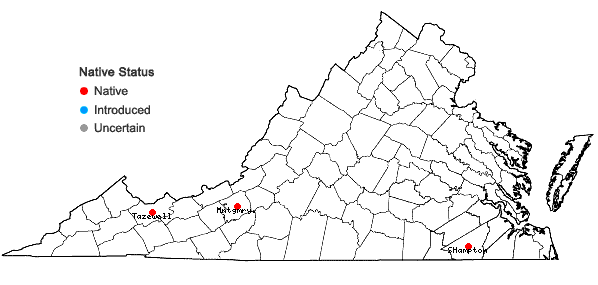 Locations ofSisyrinchium nashii Bicknell in Virginia