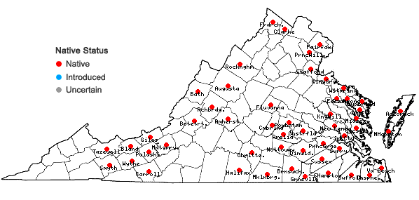 Locations ofSium suave Walt. in Virginia