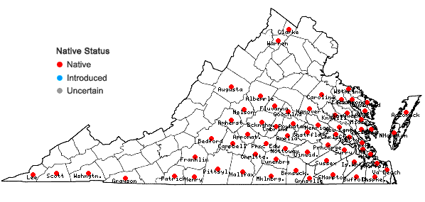 Locations ofSmilax bona-nox L. var. bona-nox in Virginia