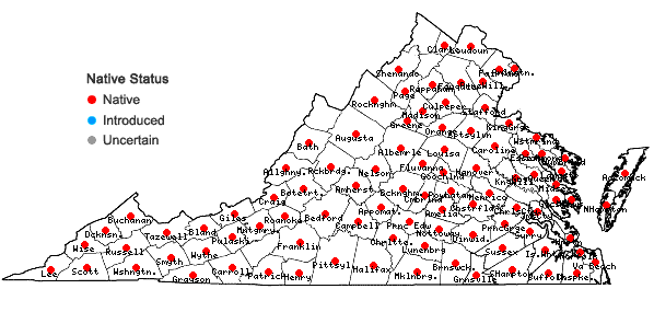 Locations ofSmilax glauca Walt. in Virginia