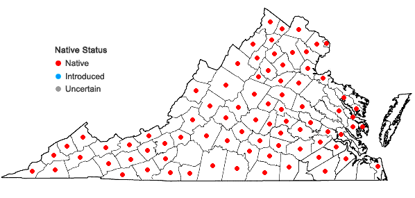 Locations ofSmilax herbacea L. in Virginia