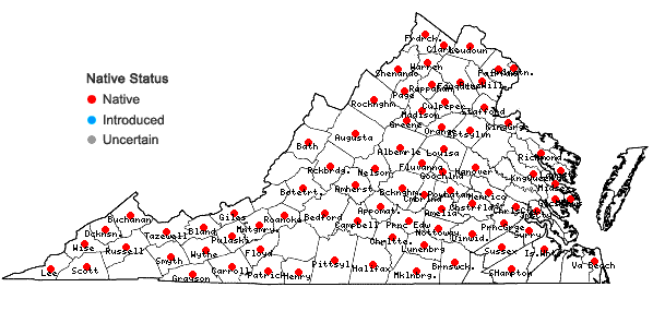 Locations ofSmilax herbacea L. in Virginia