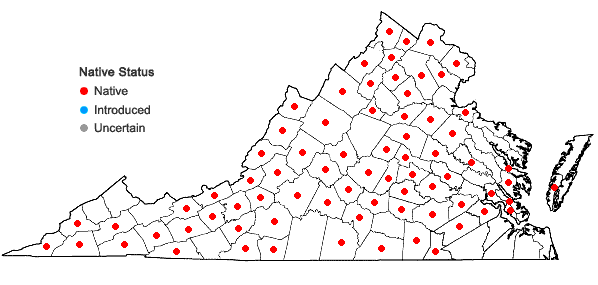 Locations ofSmilax hispida Raf. in Virginia