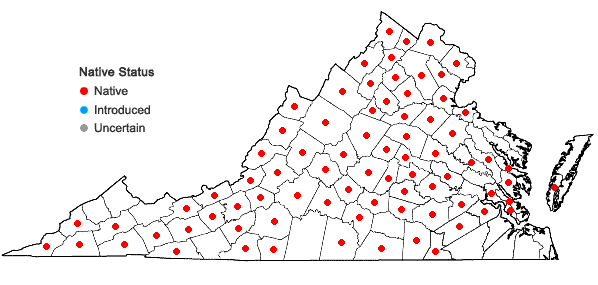 Locations ofSmilax hispida Raf. in Virginia