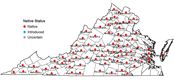 Locations ofSmilax hispida Raf. in Virginia