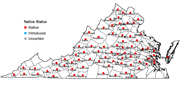 Locations ofSmilax hispida Raf. in Virginia