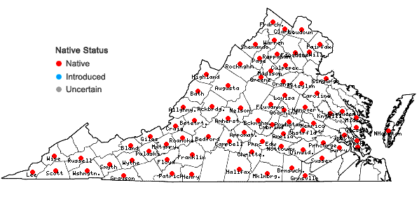 Locations ofSmilax hispida Raf. in Virginia