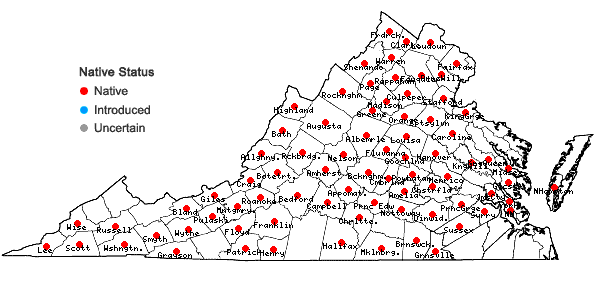 Locations ofSmilax hispida Raf. in Virginia