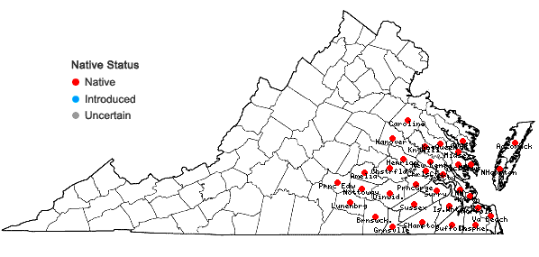 Locations ofSmilax laurifolia L. in Virginia