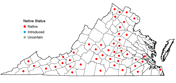 Locations ofSmilax pulverulenta Michx. in Virginia