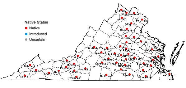 Locations ofSmilax pulverulenta Michx. in Virginia