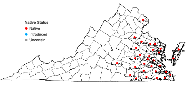 Locations ofSmilax walteri Pursh in Virginia