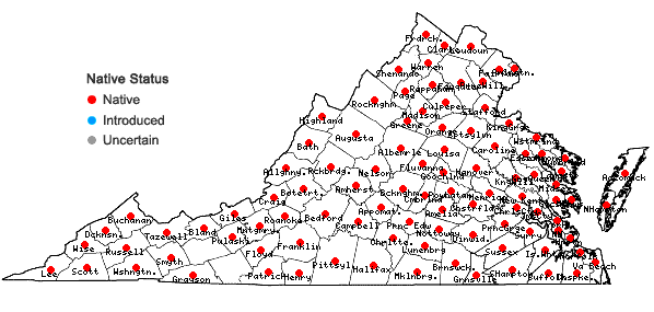 Locations ofSolanum carolinense L. var. carolinense in Virginia