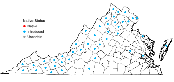 Locations ofSolanum dulcamara L. in Virginia