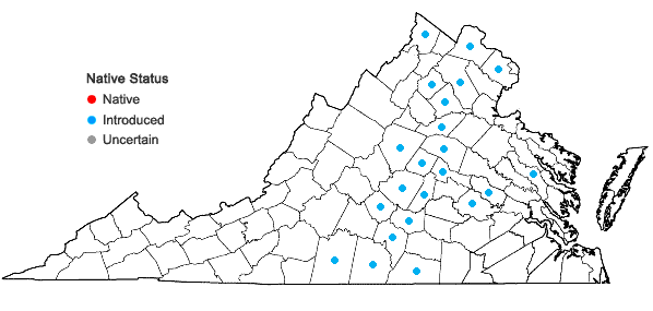 Locations ofSolanum sarrachoides Sendt. in Virginia