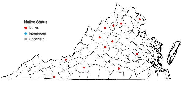 Locations ofSolenostoma gracillimum (Sm.) R.M. Schust. in Virginia