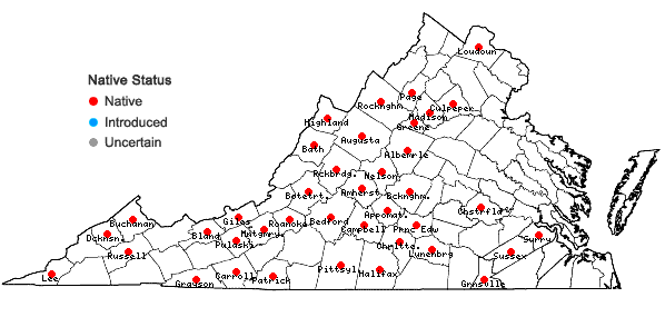 Locations ofSolidago arguta Ait. var. arguta in Virginia