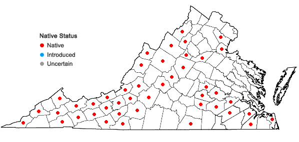 Locations ofSolidago arguta Ait. var. caroliniana Gray in Virginia