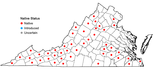 Locations ofSolidago arguta Ait. var. caroliniana Gray in Virginia