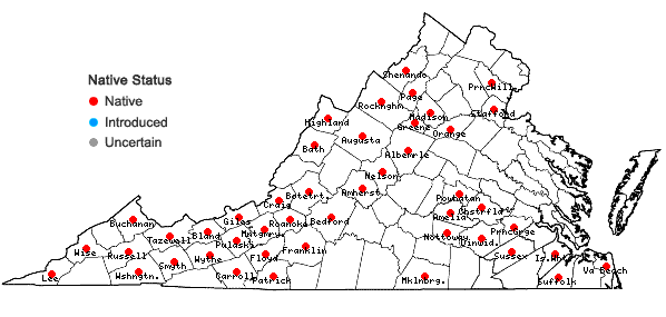 Locations ofSolidago arguta Ait. var. caroliniana Gray in Virginia