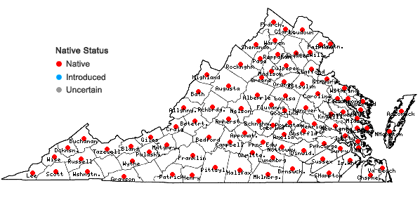 Locations ofSolidago caesia L. var. caesia in Virginia