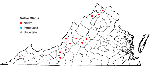 Locations ofSolidago canadensis L. var. hargeri Fern. in Virginia