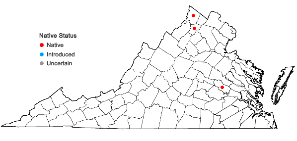 Locations ofSolidago canadensis L. var. canadensis in Virginia