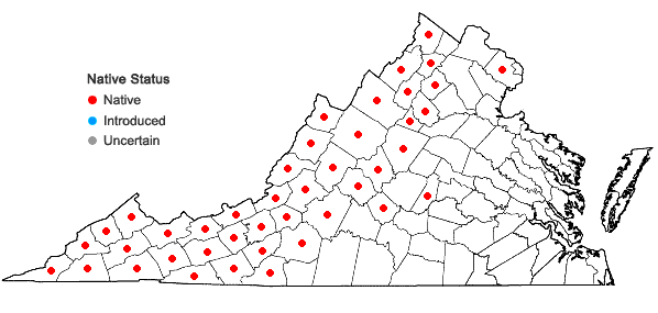 Locations ofSolidago curtisii Torr. & Gray in Virginia
