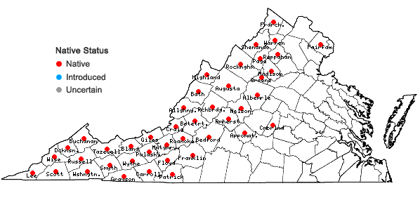 Locations ofSolidago curtisii Torr. & Gray in Virginia