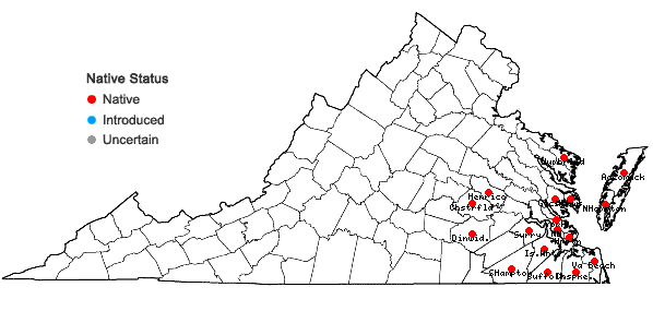 Locations ofSolidago fistulosa P. Mill. in Virginia