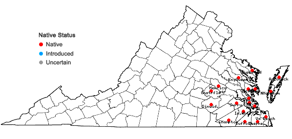 Locations ofSolidago fistulosa P. Mill. in Virginia