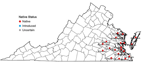 Locations ofSolidago fistulosa P. Mill. in Virginia