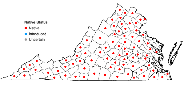 Locations ofSolidago gigantea Ait. in Virginia