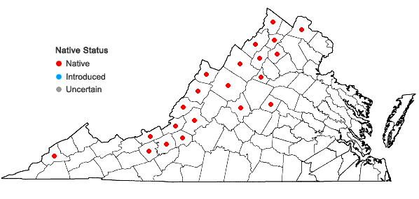 Locations ofSolidago harrisii Steele in Virginia