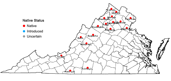 Locations ofSolidago hispida Muhl. ex Willd. var. hispida in Virginia