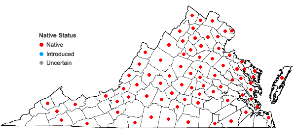 Locations ofSolidago juncea Ait. in Virginia