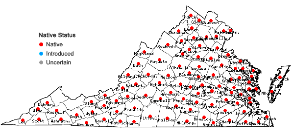 Locations ofSolidago nemoralis Ait. var. nemoralis in Virginia