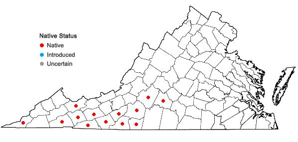 Locations ofSolidago patula Muhl. ex Willd. in Virginia